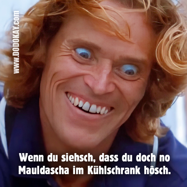 Dodokay Maultaschen Willem Dafoe Speed Cruise Control Dodokay Maultaschen Willem Dafoe Speed Cruise Control