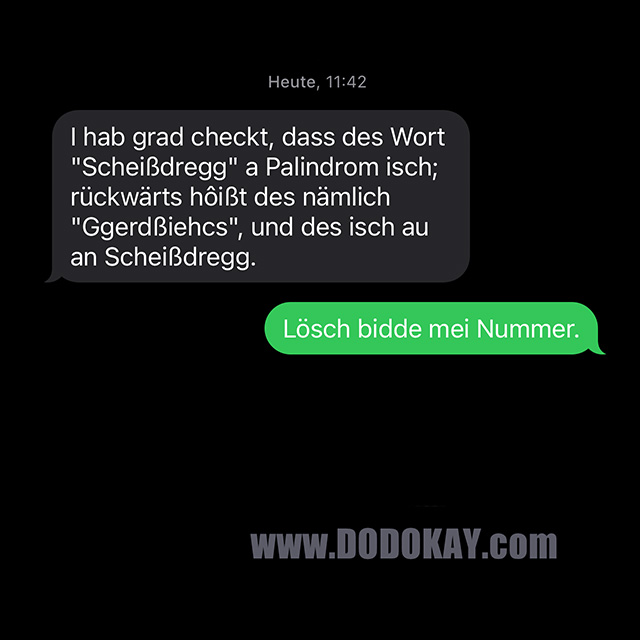 Dodokay Palindrom Scheißdregg